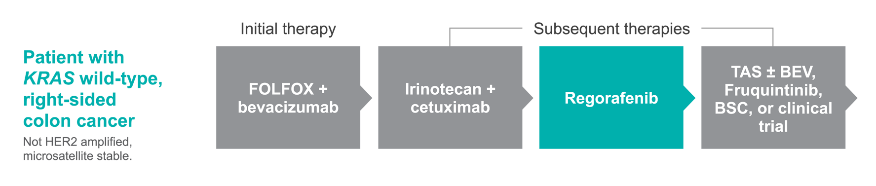 Treatment pathway for Jane - Patient with KRAS wild colon cancer