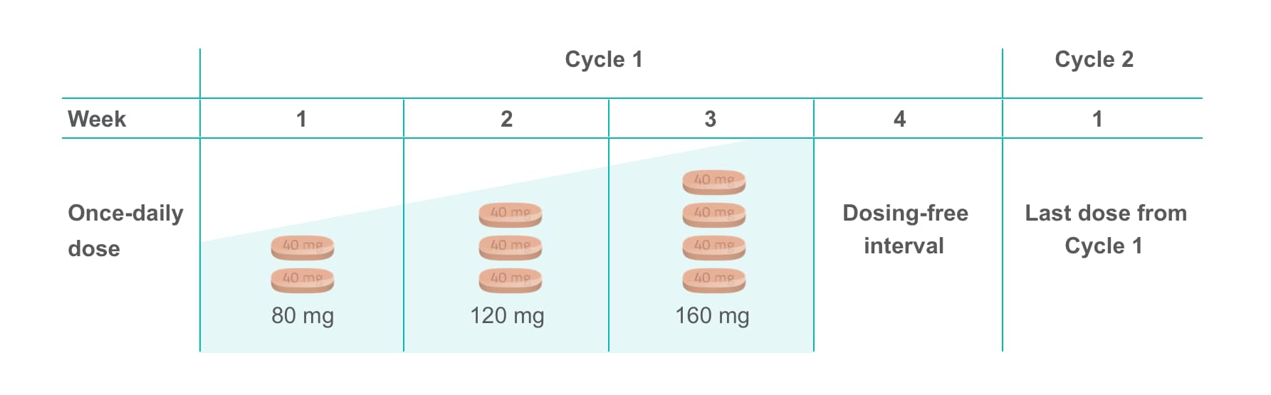 ReDos.png Table on the STIVARGA® (regorafenib) dose escalation schedule. Cycle 1: 80 mg (2 tablets) in Week 1, 120 mg (3 tablets) in Week 2, 160 mg (4 tablets) in Week 3, dosing-free interval in Week 4. Cycle 2: Last dose from Cycle 1 in Week 1.