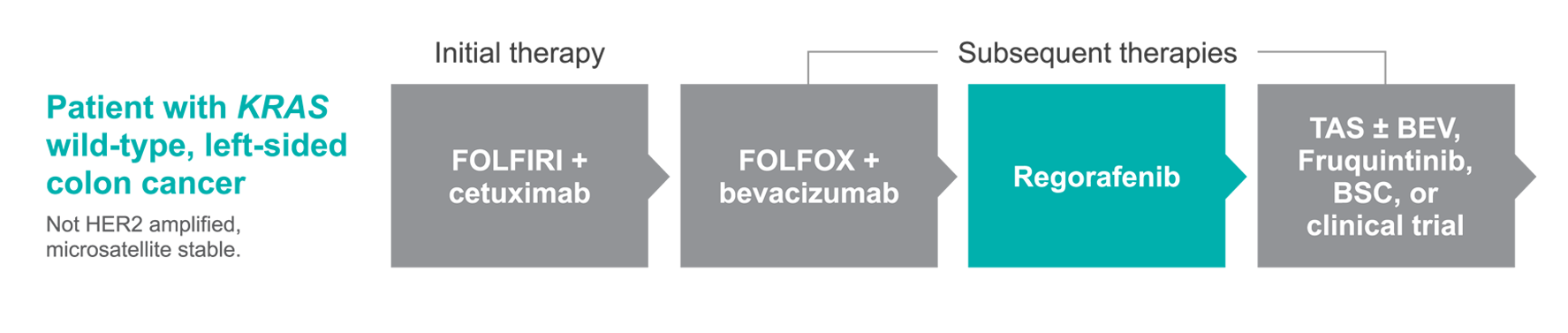 Treatment pathway for Hector Treatment pathway for Hector - Patient with KRAS wild colon cancer